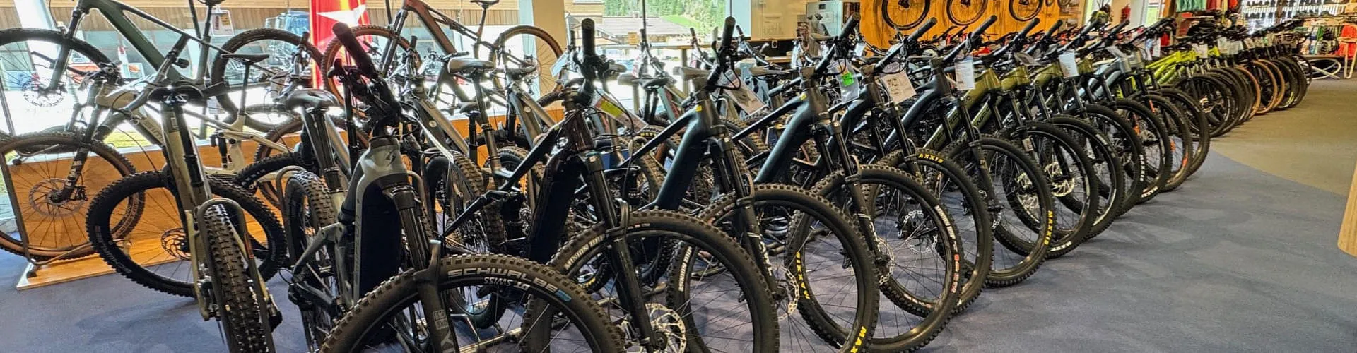 Das Bild zeigt eine gro&szlig;e Auswahl an Mountainbikes, die in mehreren Reihen im Verkaufsraum von INTERSPORT G&uuml;nther ausgestellt sind